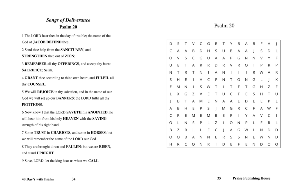 psalms word search book - 40 Days with Psalms Word Search - sample page 2